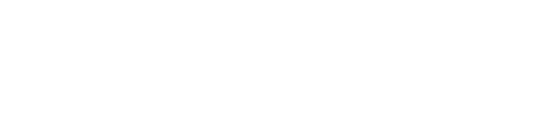 mealzo logo